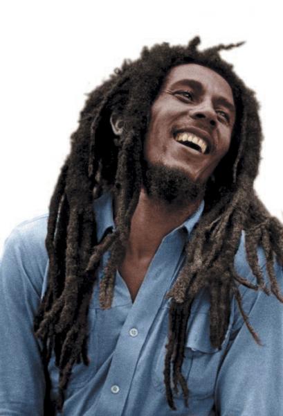 mister bob 